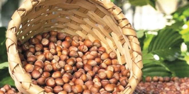 F�nd��a piyasa g�vencesi