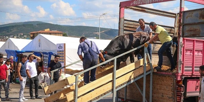 İstanbul'da kurban satışları başladı