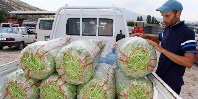 Fiyatlar, fasulye üreticisinin yüzünü güldürdü