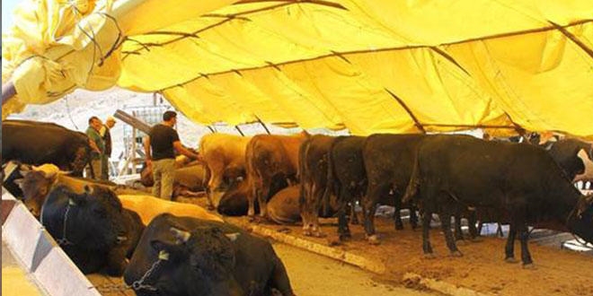 Kurban pazarlar�nda sahte paraya dikkat!