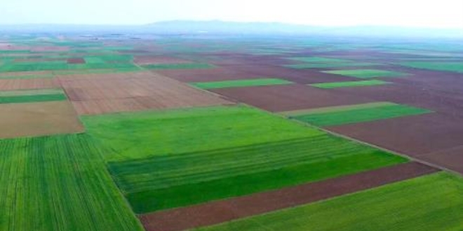 Danıştay'dan Alpu termik santraline ilişkin flaş karar