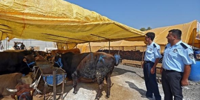Polisten hayvan pazarında 'sahte para' uyarısı
