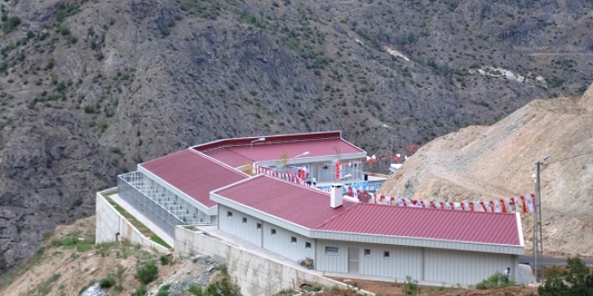 Artvin'e 2,5 milyon liralık hayvan bakımevi
