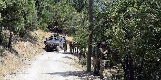 Tunceli'de 10 terörist etkisiz hale getirildi
