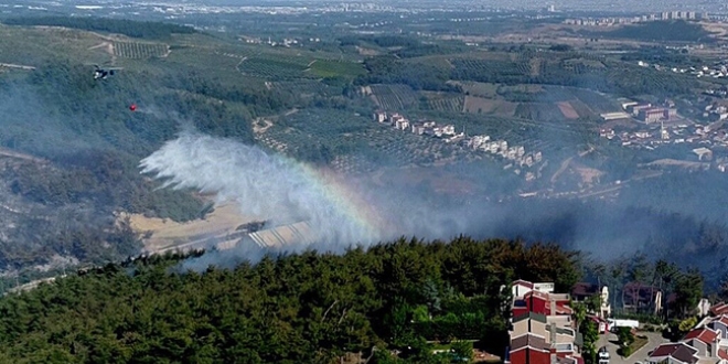 Bursa Cumhuriyet Basavcl, orman yangnyla ilgili soruturma balatt