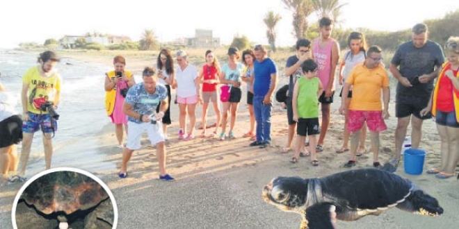 Yaz tatili yerine kaplumbağa nöbeti