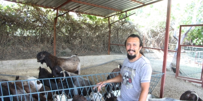 İç mimarlık işini bırakıp keçi çiftliği kurdu
