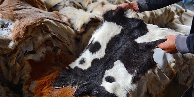 THK'den kurban derisi uyarısı