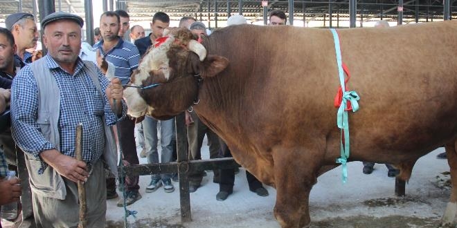 1 ton 600 kiloluk 'Paşa' otomobil fiyatına satıldı