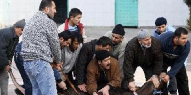 Sokakta kurban kesene para cezası