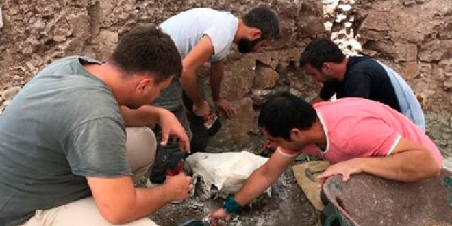 Çankırı'da gergedan kafatası fosili bulundu