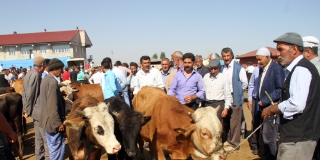 Do�u Anadolu'da kurban pazarlar�nda hareketlilik