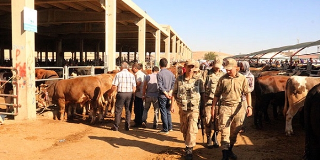 Kurbanl�k pazar�nda yer kavgas�: 14 yaral�