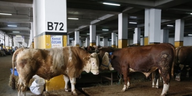 Bu sistemle 4 dakikada bykba kesimi yapyorlar