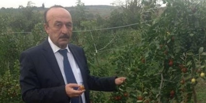 İl Müdürü, kazada hayatını kaybetti