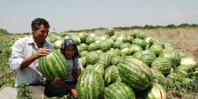 Dou Anadolu'nun karpuzu Idr'dan