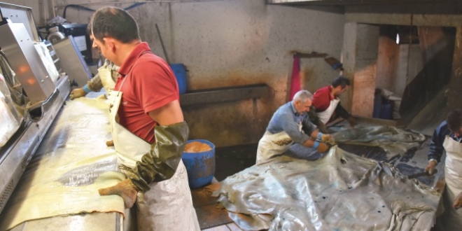 4 milyonluk kurban pazar�