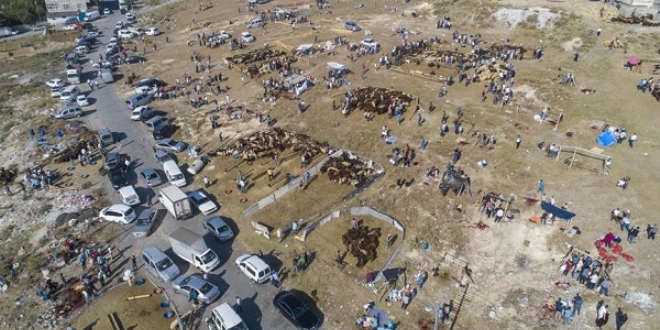 Kurban kesim alanlar�nda yo�unluk