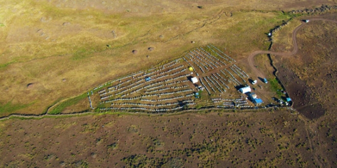 Mu� bal�nda rekolte beklentisi 3 bin 600 ton