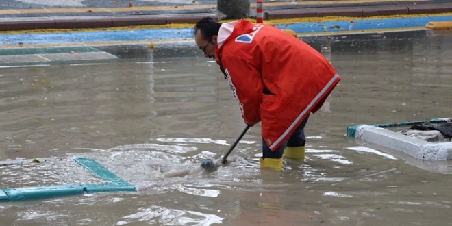K�tahya'da, sa�anak hayat� olumsuz etkiledi