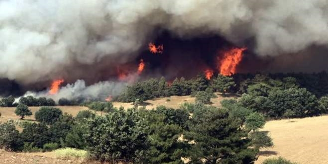 Tunceli'de 5 ayrı alanda orman yangını çıktı