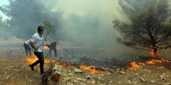 Gbeklitepe Orman'nda yangn devam ediyor