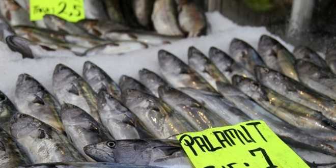 Kurban Bayram� bal�k fiyatlar�n� d���rd�