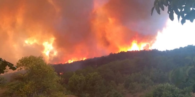 Kastamonu'da orman yangını! Köylere sıçrayabilir