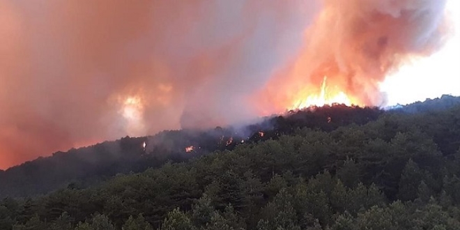 Kastamonu'daki orman yangını söndürüldü