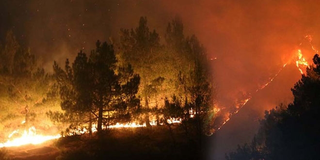 Sivas'ta orman yangn yerleim alanlarn tehdit ediyor