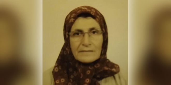 Arıların saldırısına uğrayan kadın hayatını kaybetti
