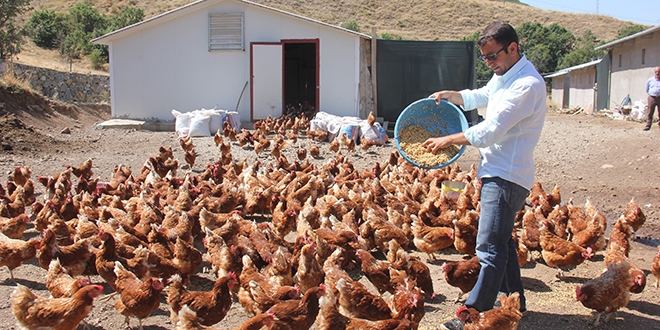 Medyada haberlerini gördü, devlet desteğiyle çiftlik kurdu