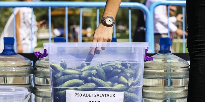 'Dünyanın en büyük turşu kurma rekor denemesi'