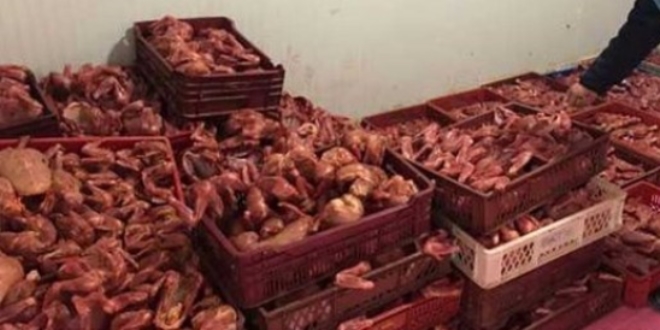 1,5 ton kokmuş tavuk et ele geçirildi