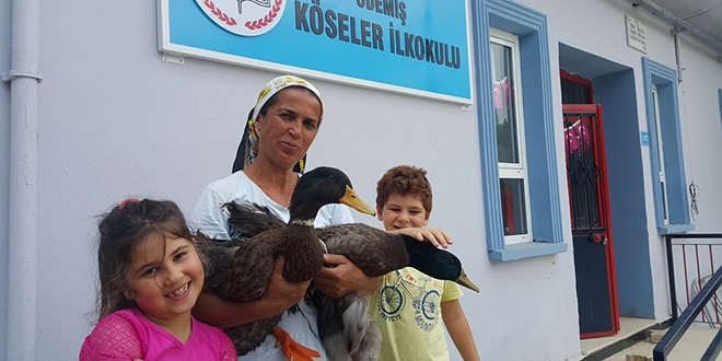 Çiftlik gibi okulda 100 kanatlı hayvan var
