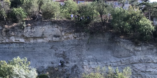 Kedisi için canından oluyordu
