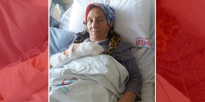Evinin bahçesinde otururken, bir anda kanlar içinde kaldı