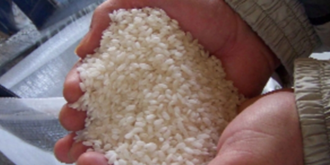 Sınır getirilmezse, 1 kg pirinci 15-20 TL'ye yiyebiliriz