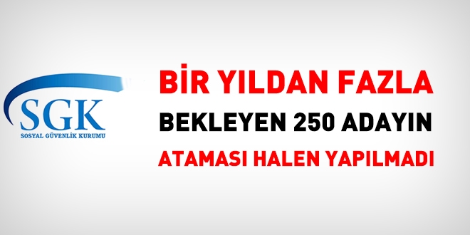 1 yıldan fazla bekleyen, 250 adayın ataması yapılmadı