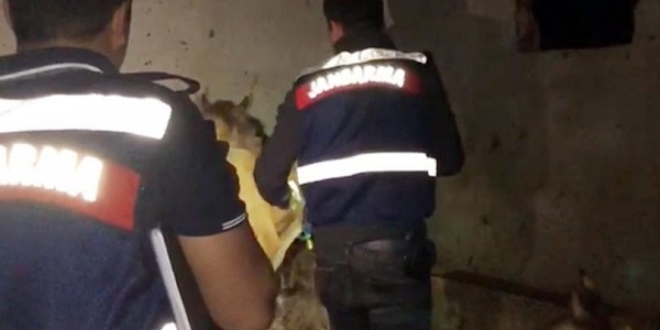 Ordu'da 'seri katil' endişesi; şüpheli ölümler artıyor