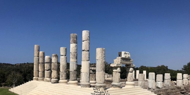 Apollon Tap�na�� mitolojik farelerine kavu�tu