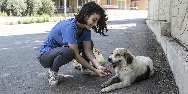 Yaz tatillerinde sokak hayvanlarını beslediler