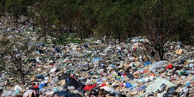 Orman çöp deposu oldu