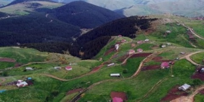 Ordu Valili�i uyard�: Yayla evlerinde erzak b�rakmay�n