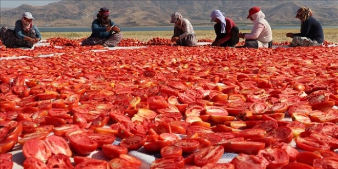 Elazığ'ın kurutulmuş domatesi Avrupa mutfağında
