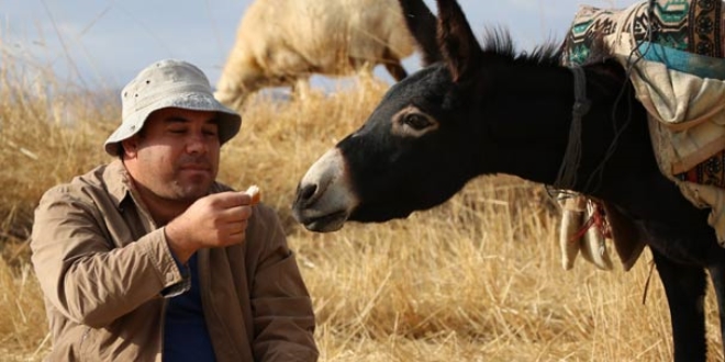 İlçede başkan, merada çoban