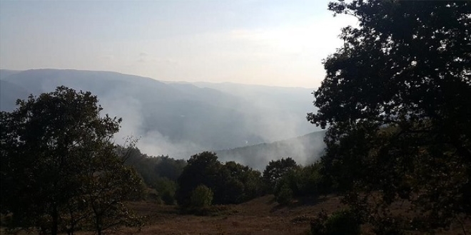 Bolu'da orman yangını