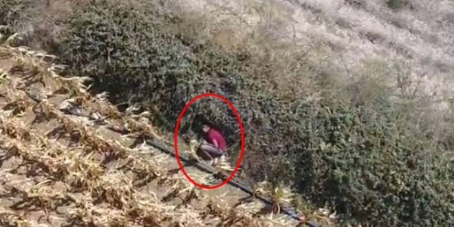 Yeri drone ile tespit edildi! Tarlada böyle yakalandı