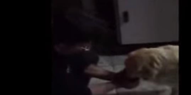 Susayan köpeğe polis şefkati