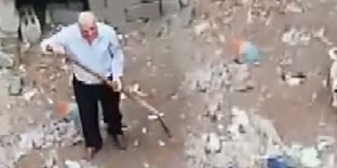 Yavru köpeğe kürekli işkence